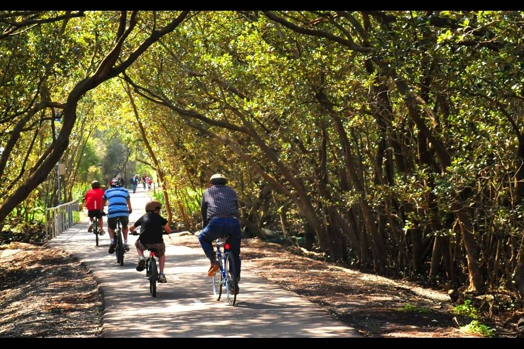 Cycling Bicentennial Park