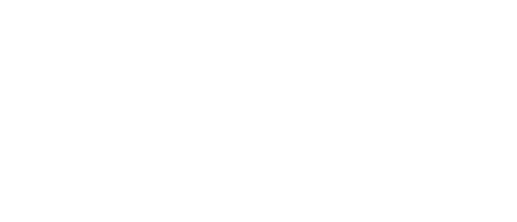 Air New Zealand white logo