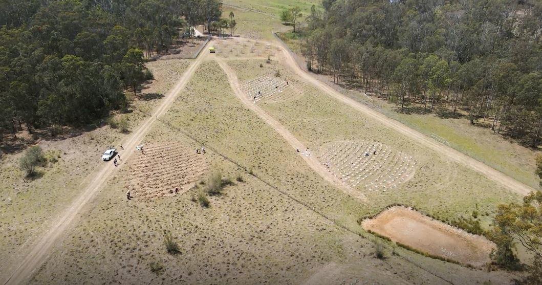 A drone shot of a blank field showing workers planting trees in the sun.